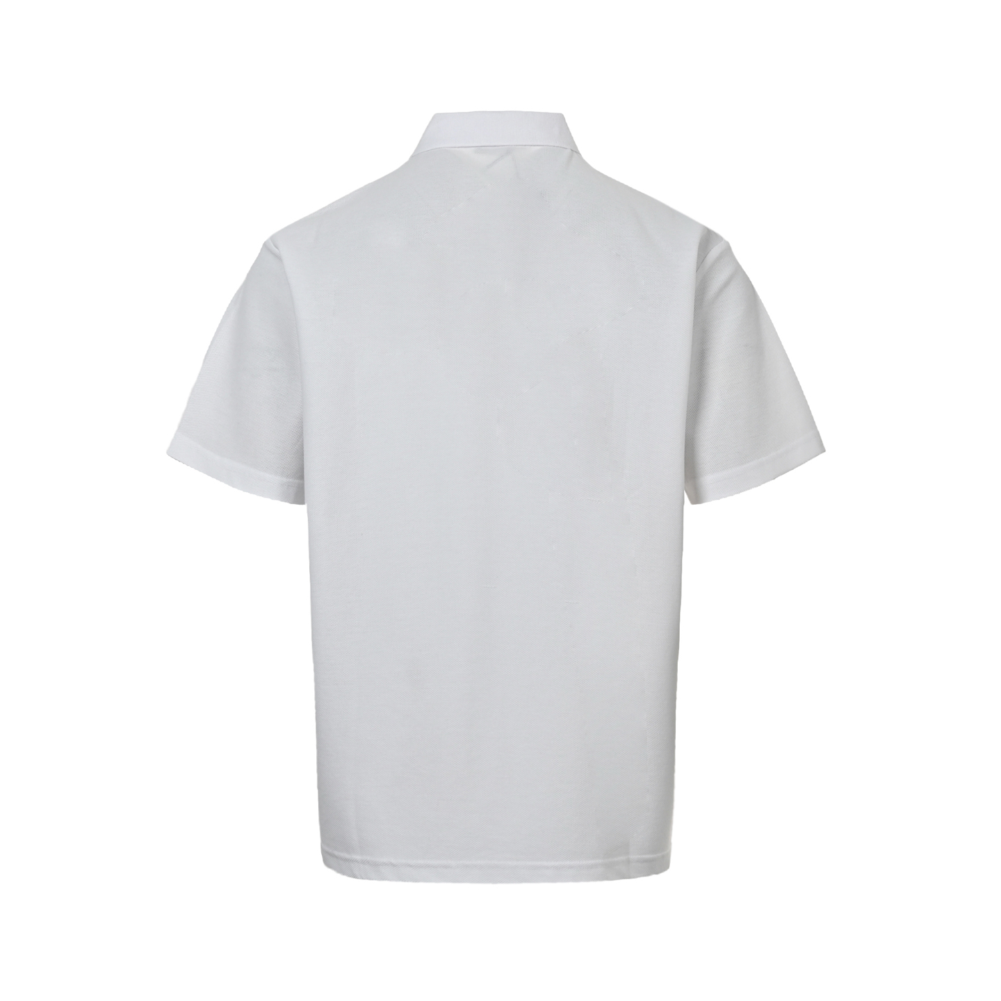 Dior 25ss KAWS Year of the Snake Embroidered Small Logo Polo Short Sleeve