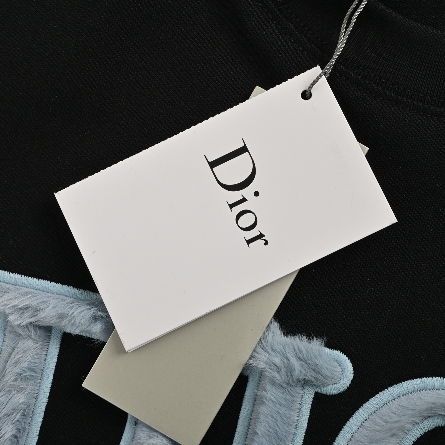 Dior 25ss blue flocked letter embroidered short sleeve