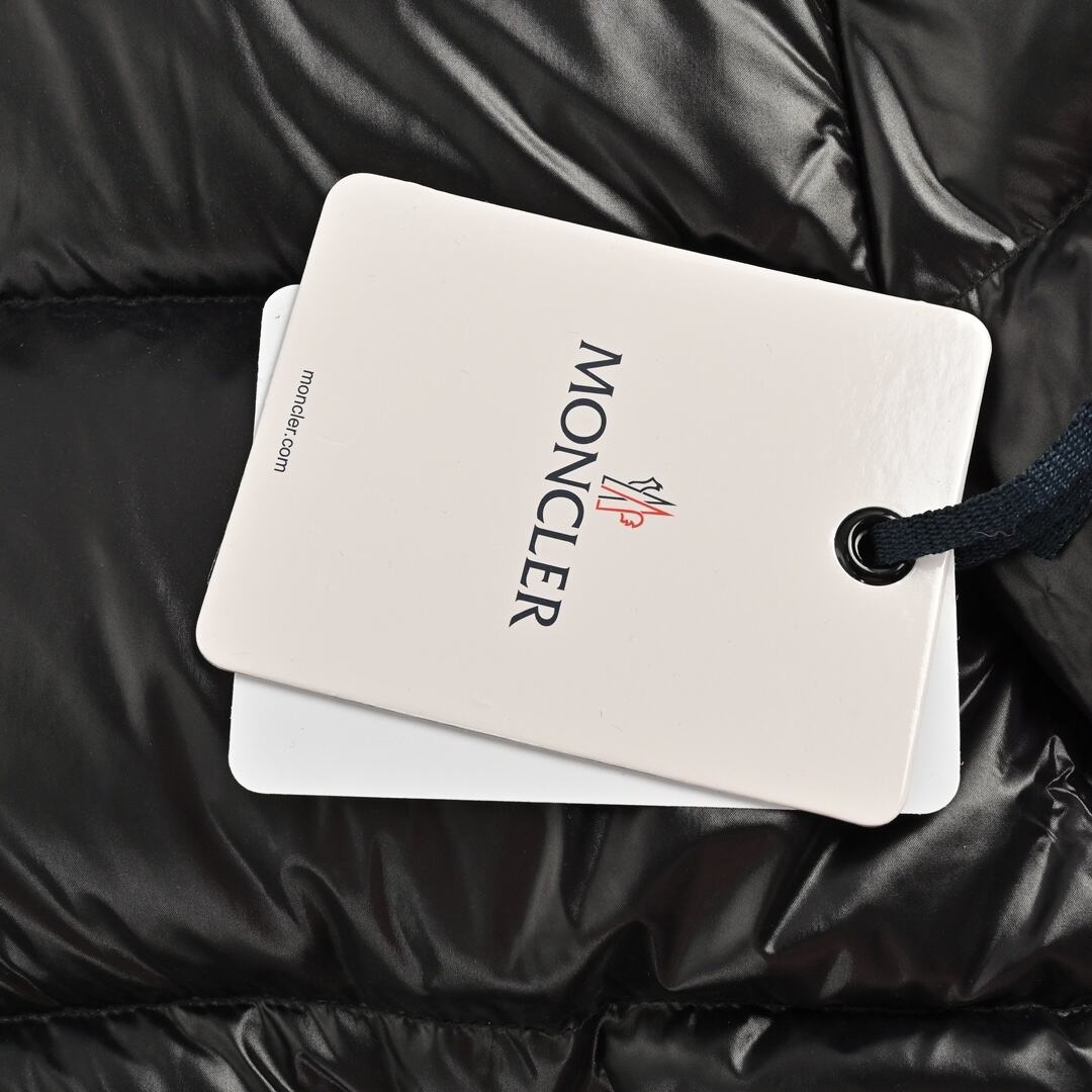 Moncler Fuster Series Down Jacket