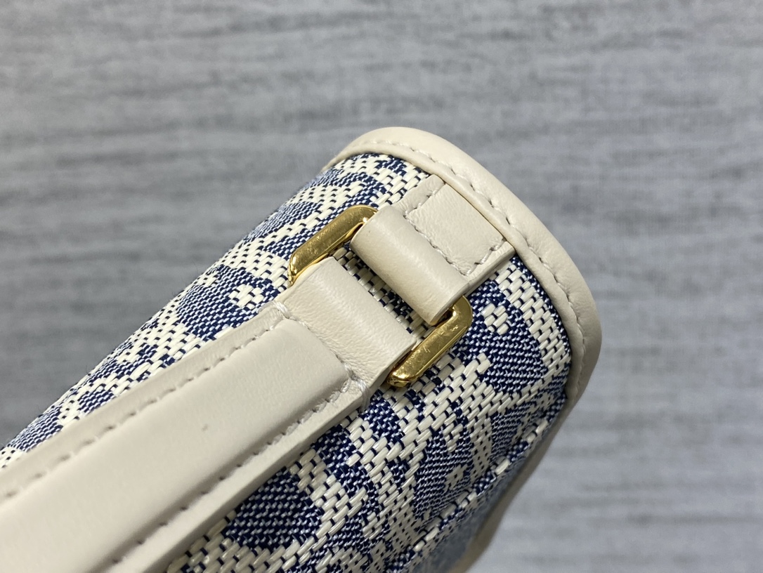 Dior Miss Montaigne Mini Chain Bag