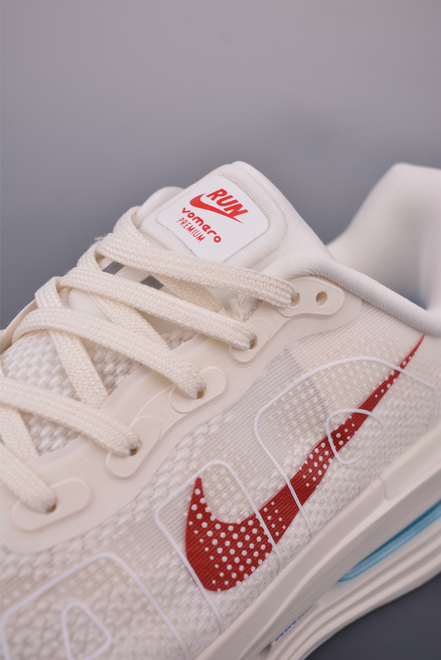 Nike Vomero premium Air FN8453-009