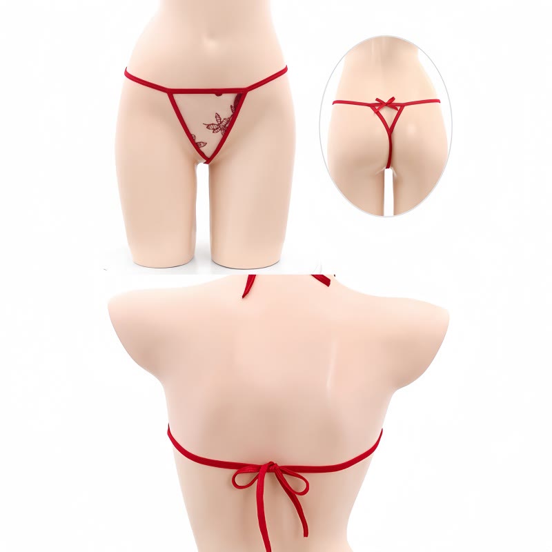 Vintage Hanfu Dudou See-through Lingerie Set