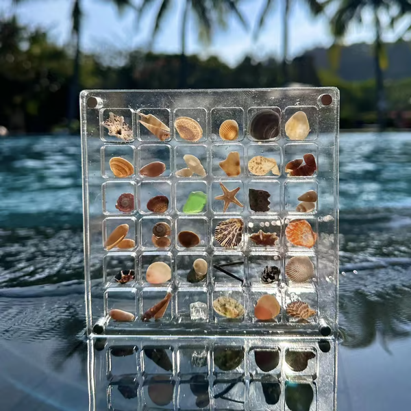 Acrylic Magnetic Shell Display Box