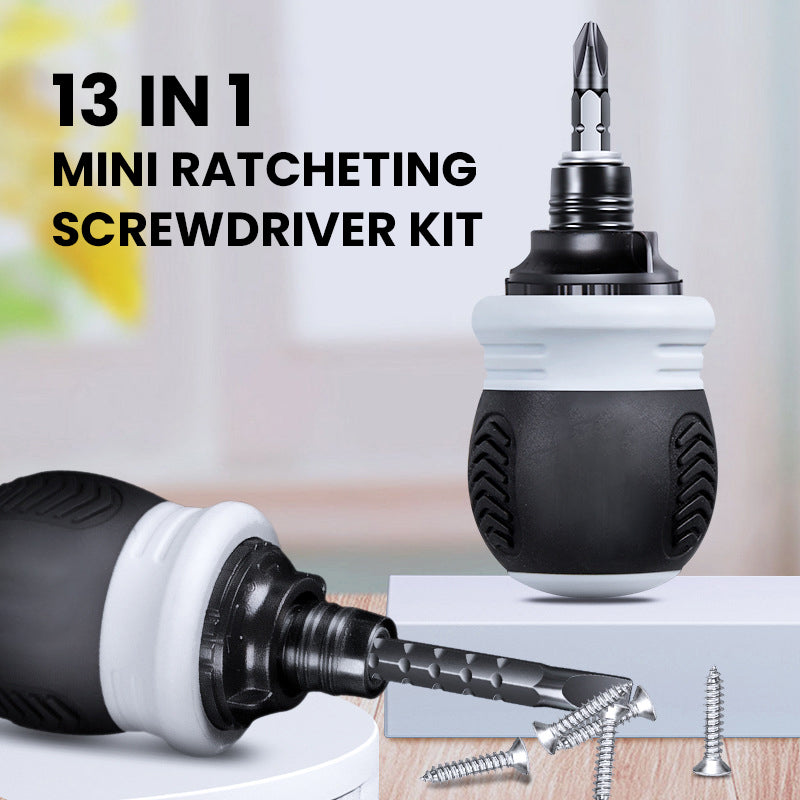 Last Day Promotions 60% OFF🔥-13 In 1 Mini Ratcheting Screwdriver Kit