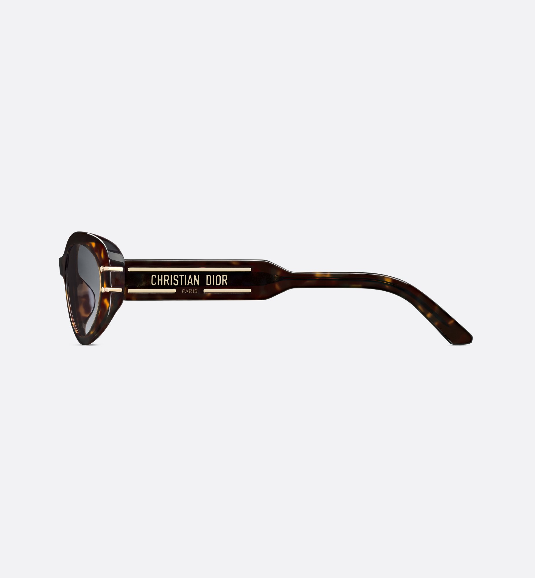 Dior DiorSignature B8U Sunglasses DSGTB8UXR_24A1