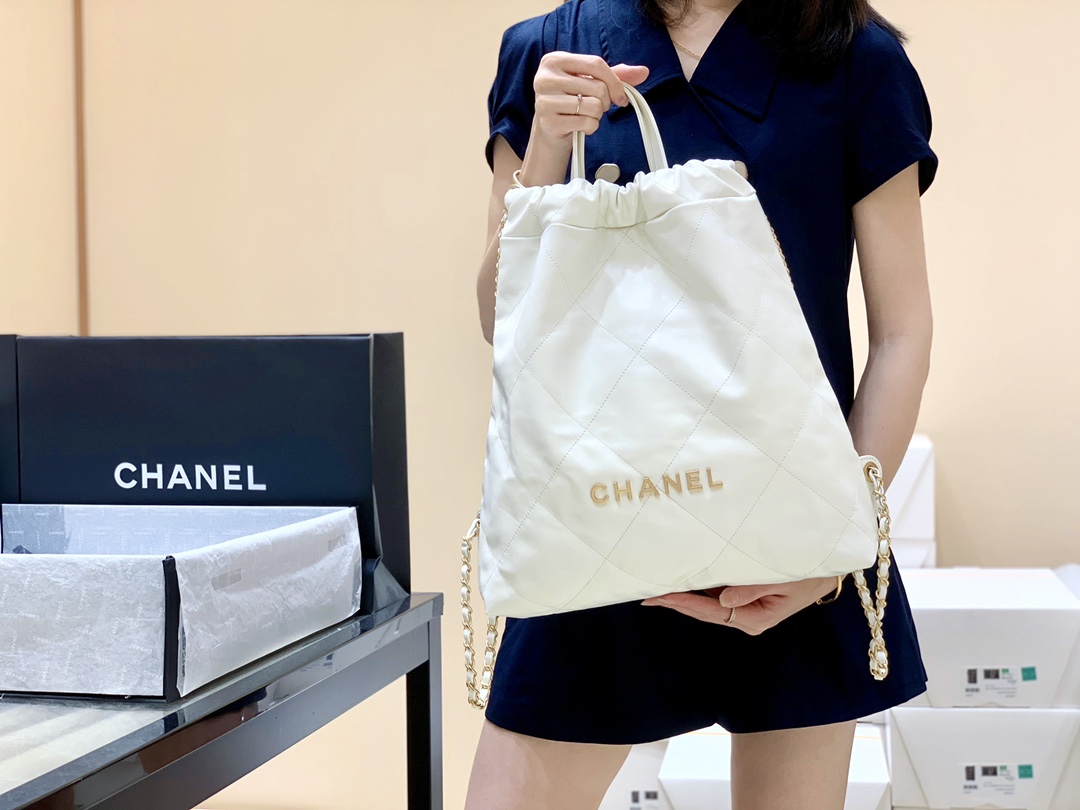Chanel 2022cc Spring/Summer Collection Handbag AS3313