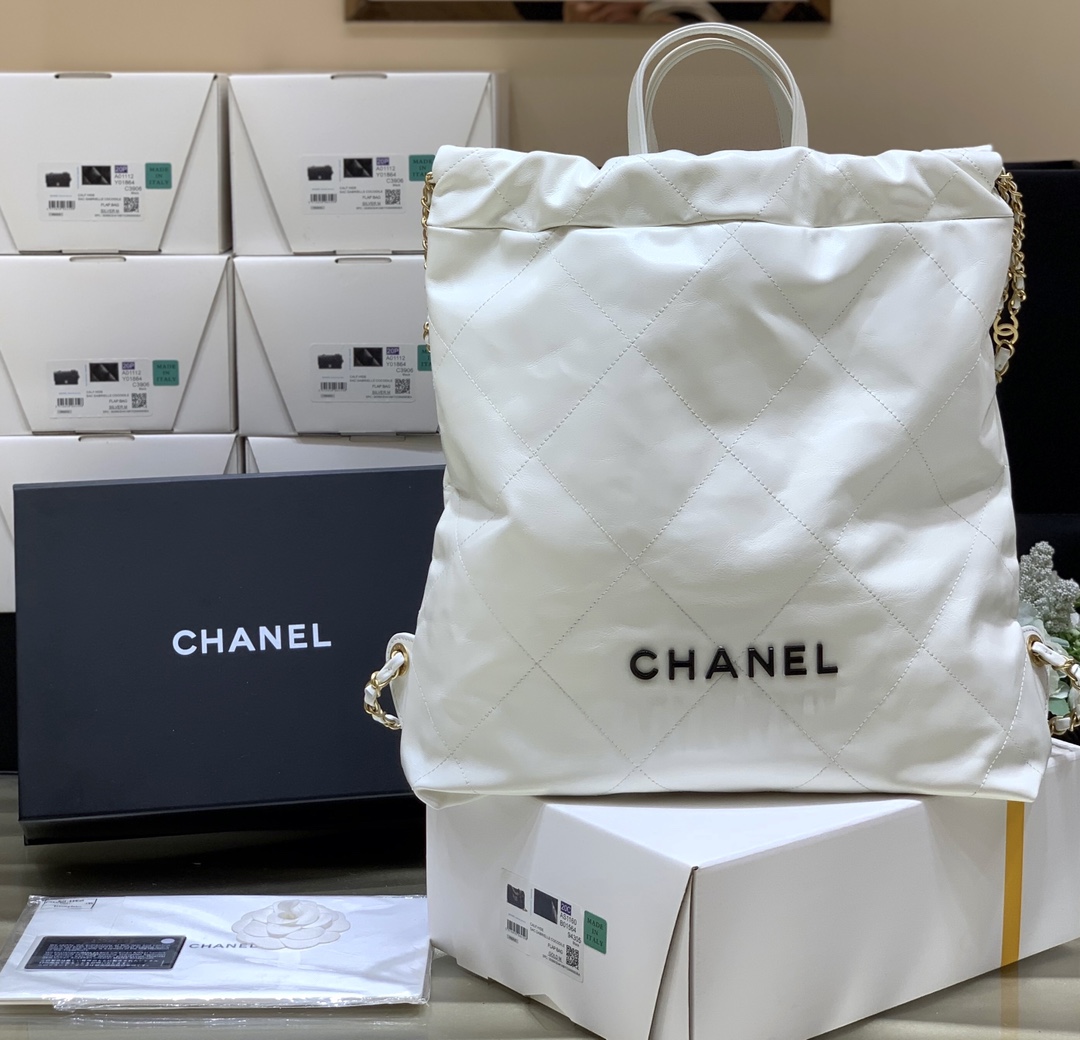 Chanel 2022cc Spring/Summer Collection Handbag AS3313