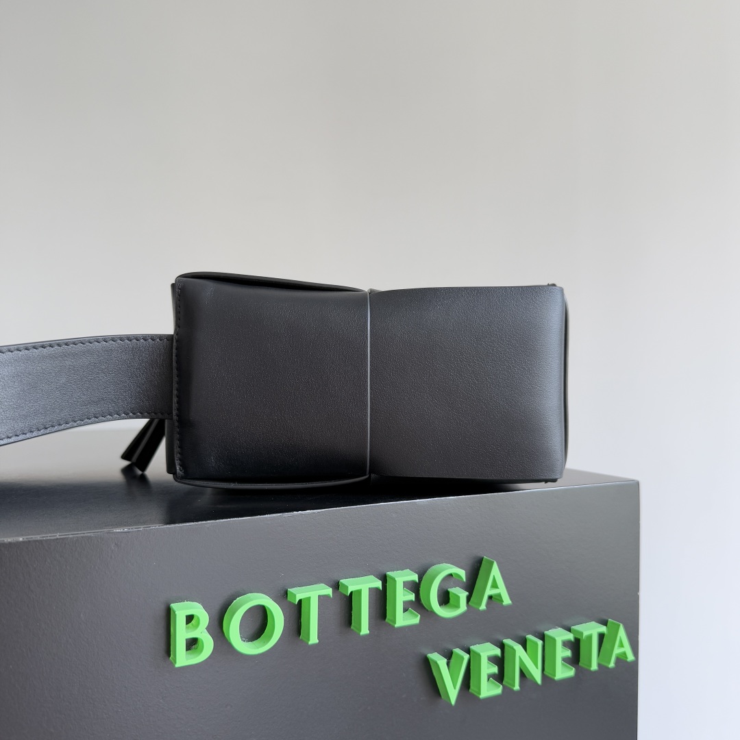 Bottega Veneta 2023 Early Spring Series Arco Camera Bag 731165