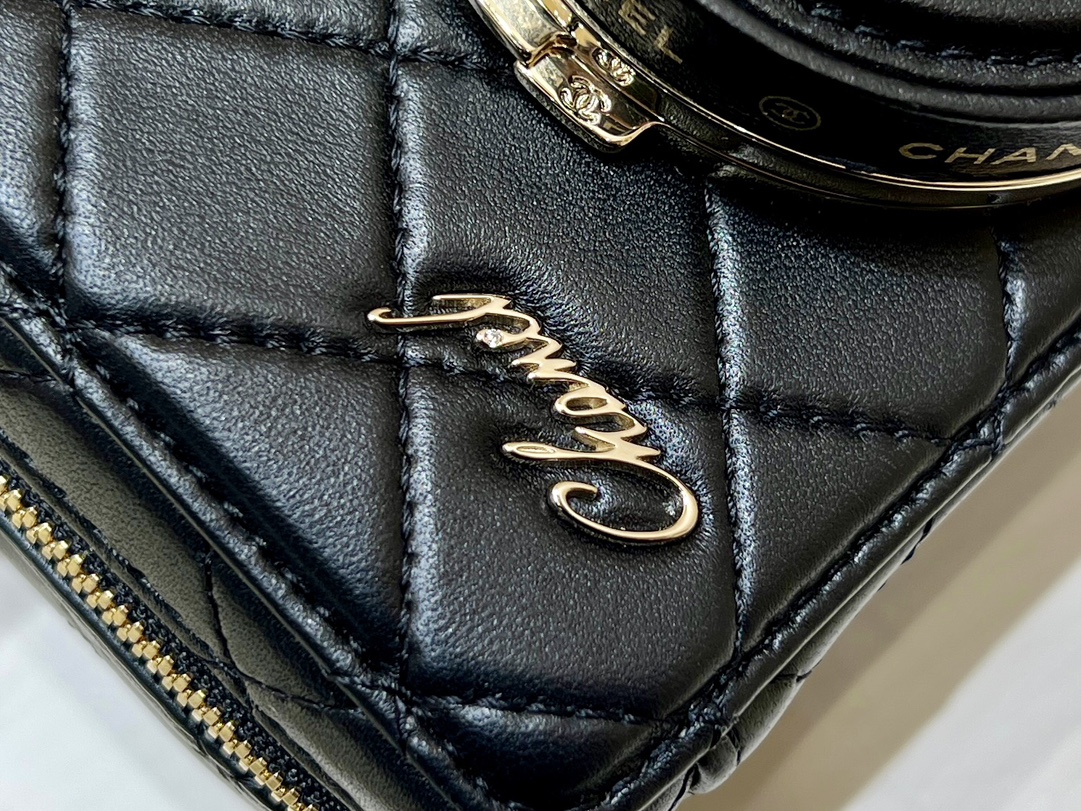 Chanel 24S Spring/Summer Series Camera bag vic limited edition AS4817 00168