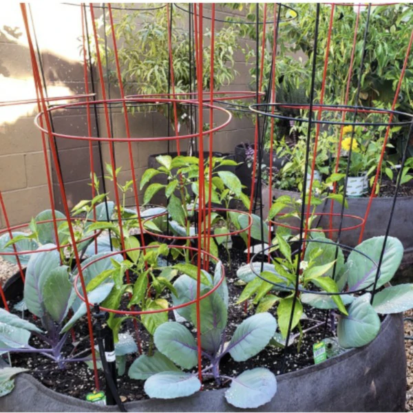 (🔥3rd Anniversary Sale) Breathable Large Garden Planting Bed - Buy 2  Get 5% OFF