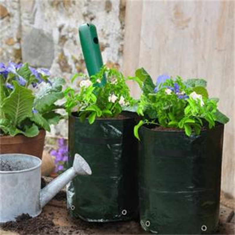 🎉Winter Sale 30% OFF - Plant Bag Potato Grow Container
