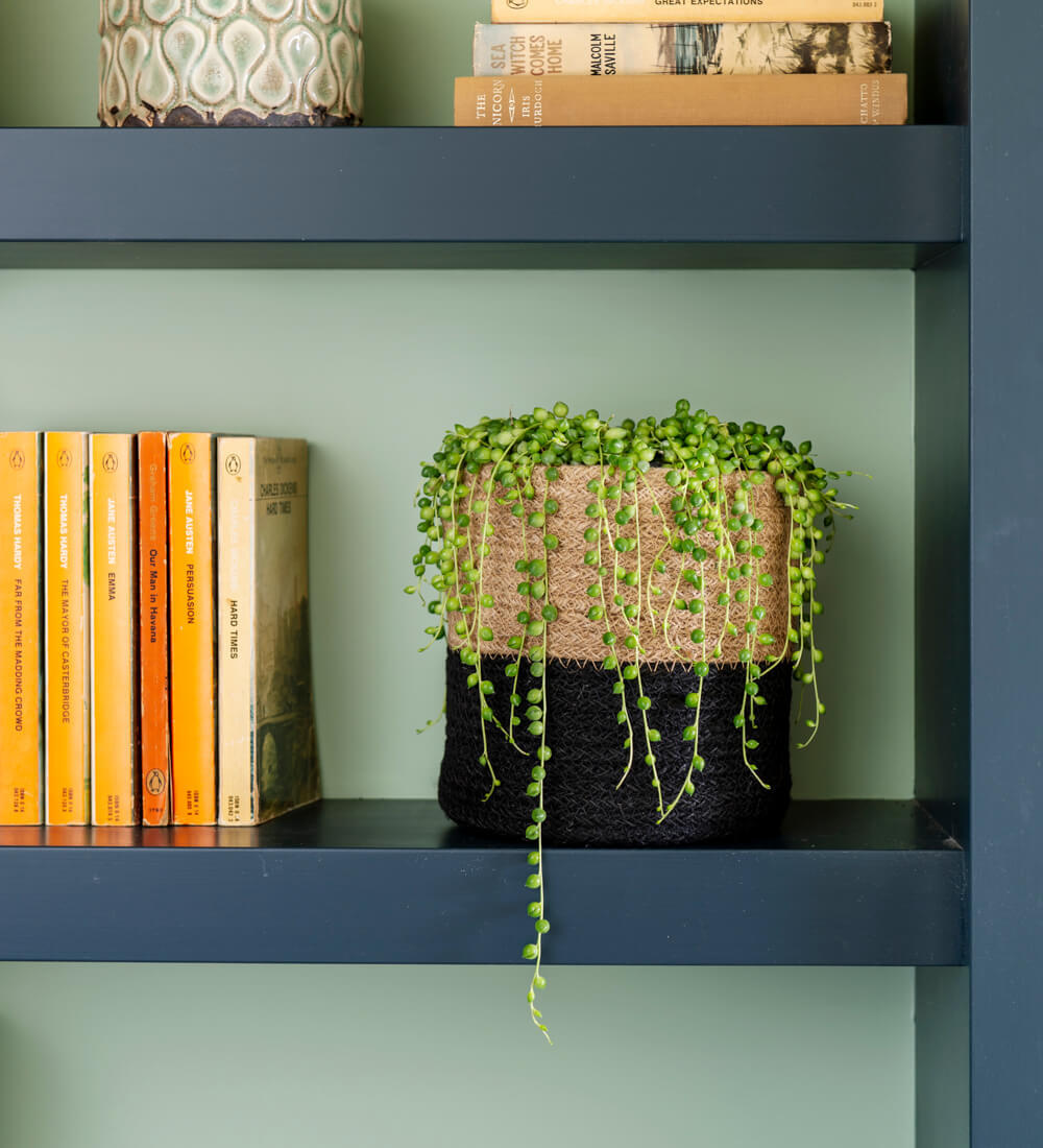 String of Pearls