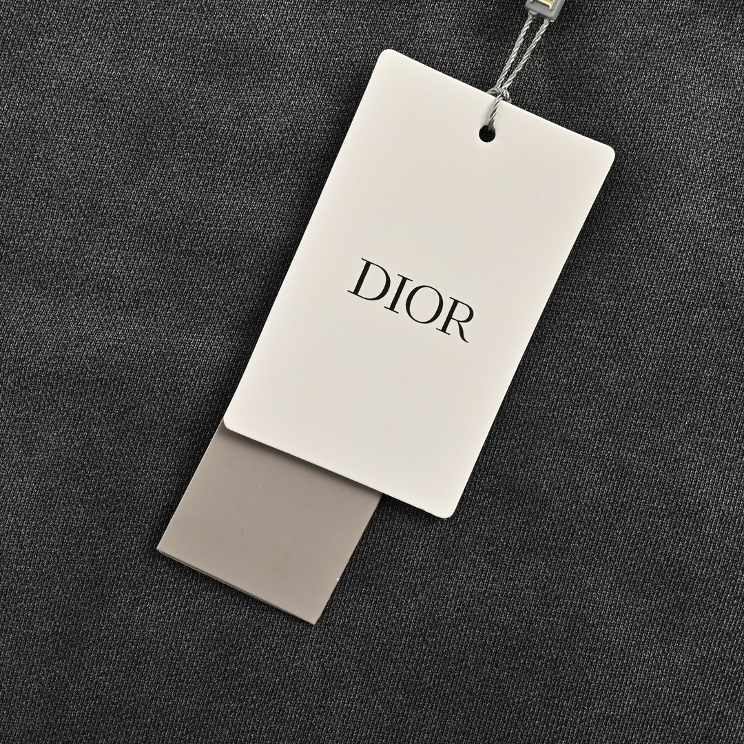 Dior 24Fw embroidered logo washed crewneck sweatshirt
