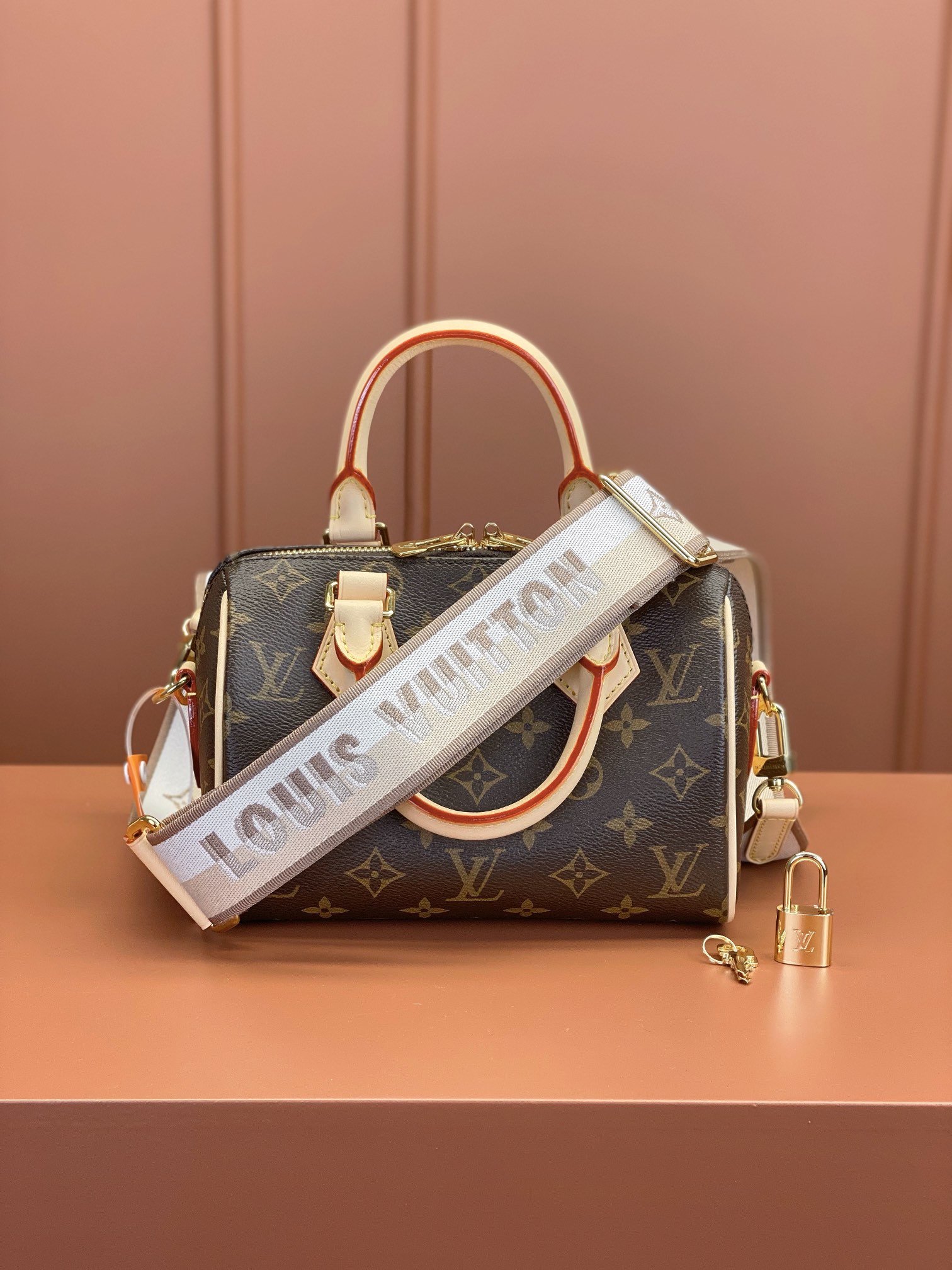 Louis Vuitton SPEEDY BANDOULIÈRE 20 Handbag M46222