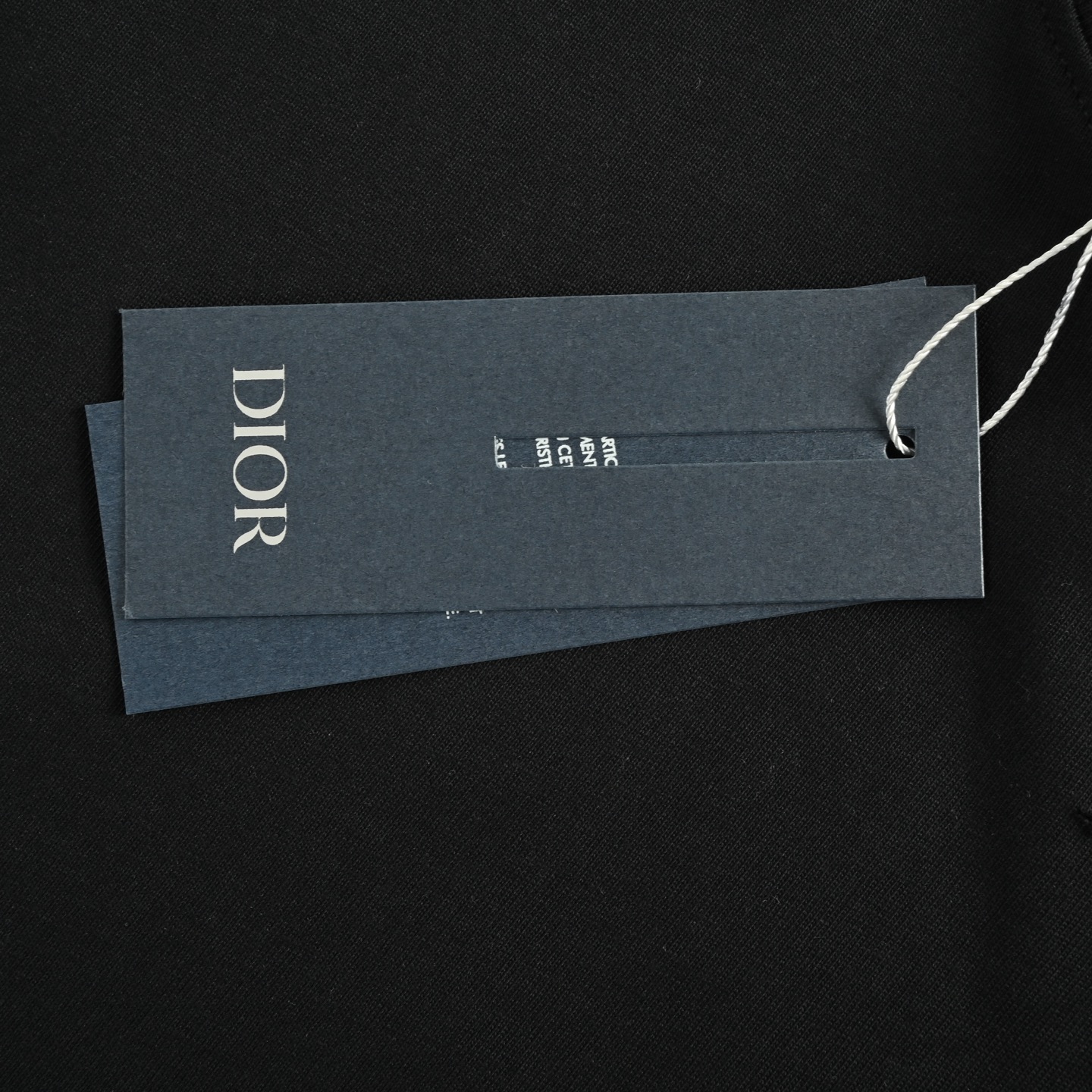 Dior 25ss ripped silver lettering short-sleeve shirt