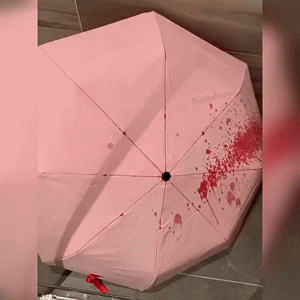 Blood Rain Umbrella