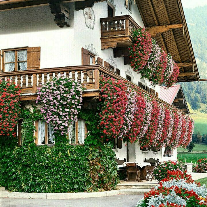 Vivid Artificial Hanging Orchid Bunch🌷 Spring Hot Sale - 49% OFF 🔥