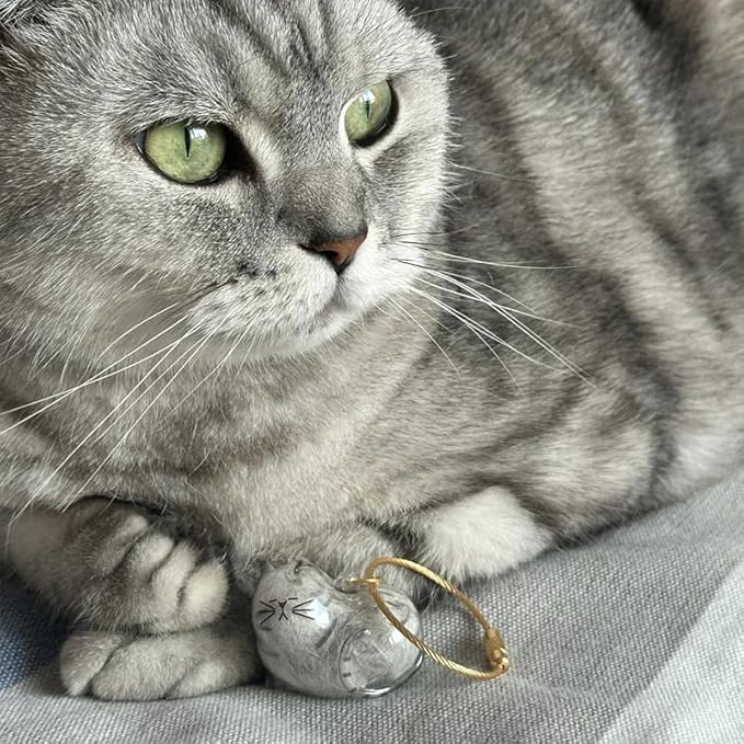 🔥On sale🔥Cat Hair Storage Memorial Keychain