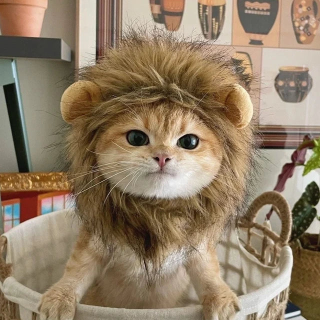 2024  King Cat Costume🔥(Last Day to Sell)