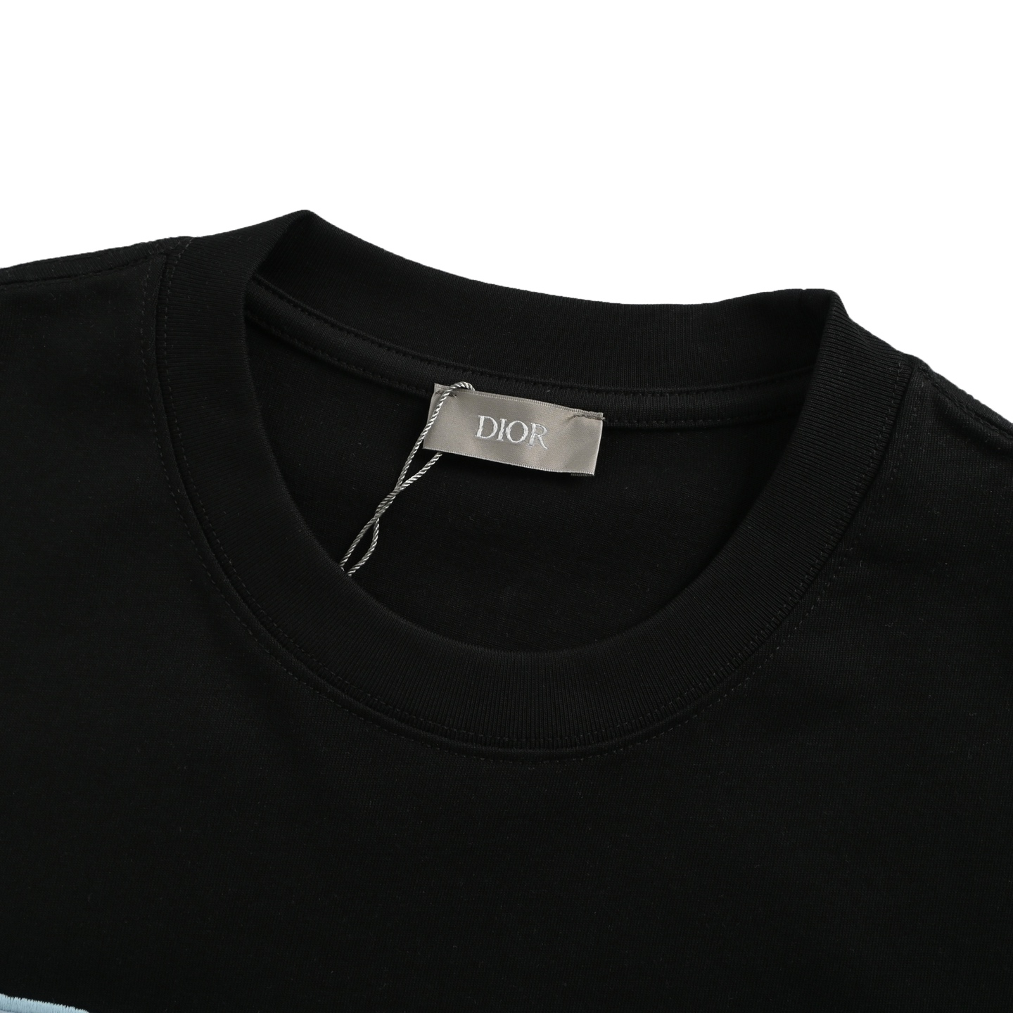 Dior 25ss blue flocked letter embroidered short sleeve