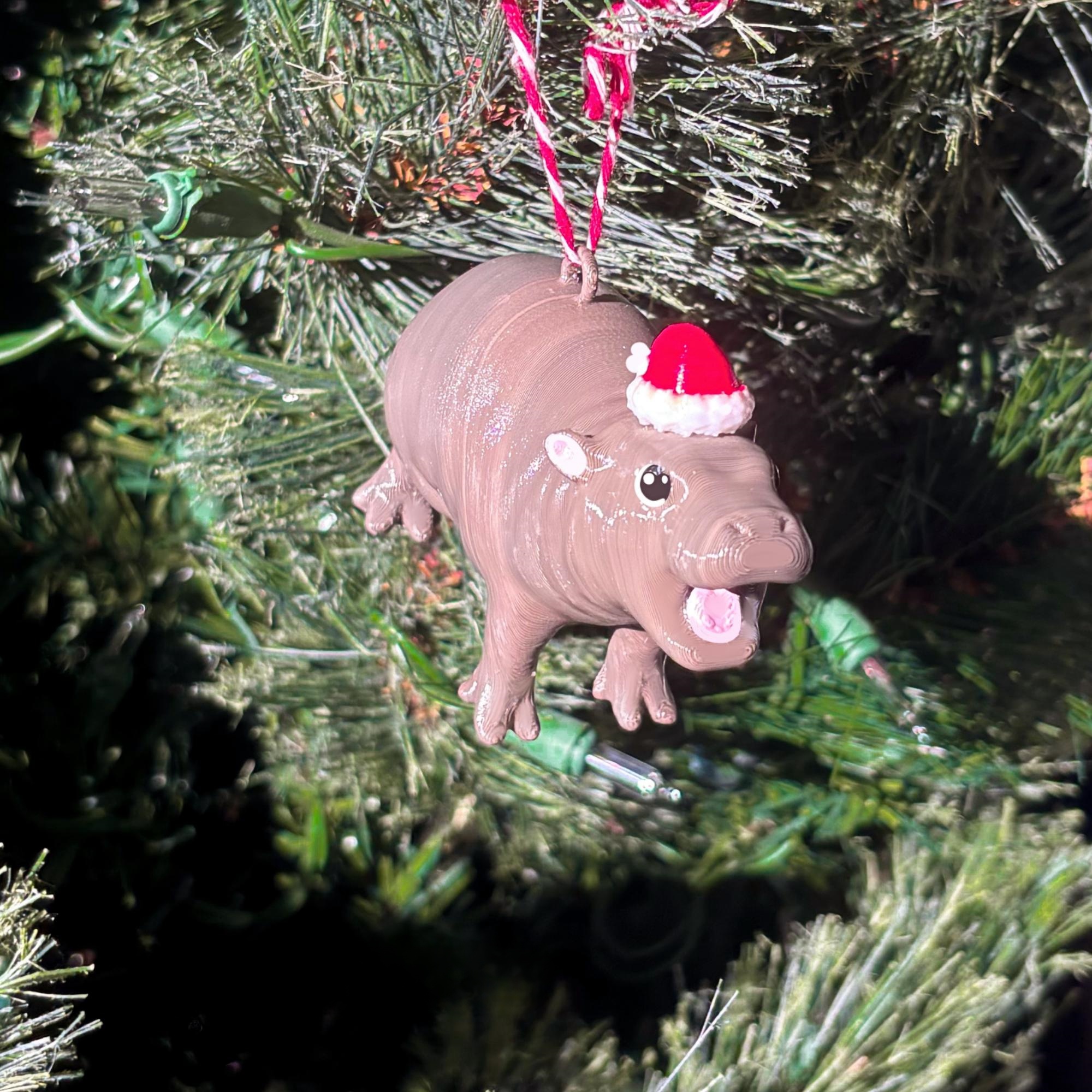 🦛Moo Deng Ornament