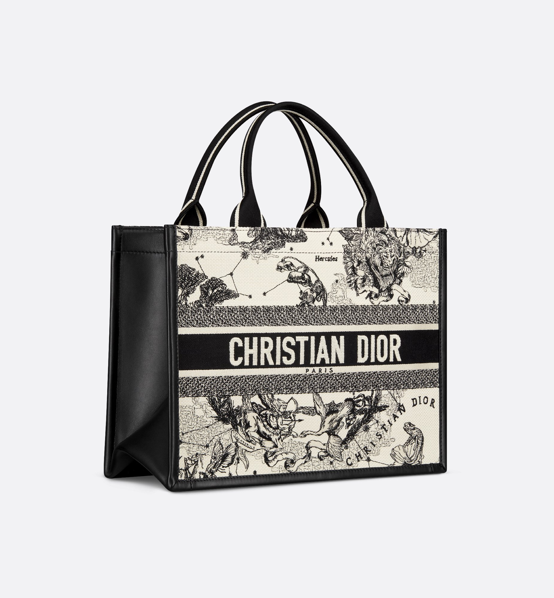 Dior Medium Book Tote Bag M1324CETW_M06E