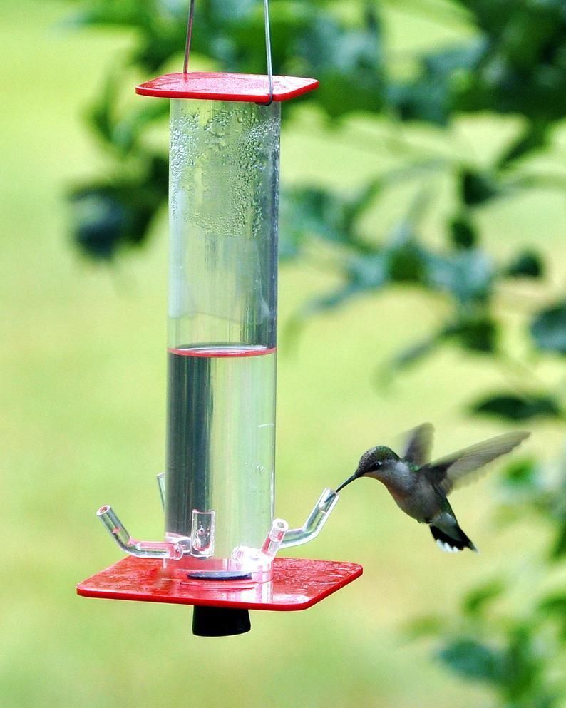 Hummingbird Feeder - Buy 2 Give Free Cleaning Brush and Hook