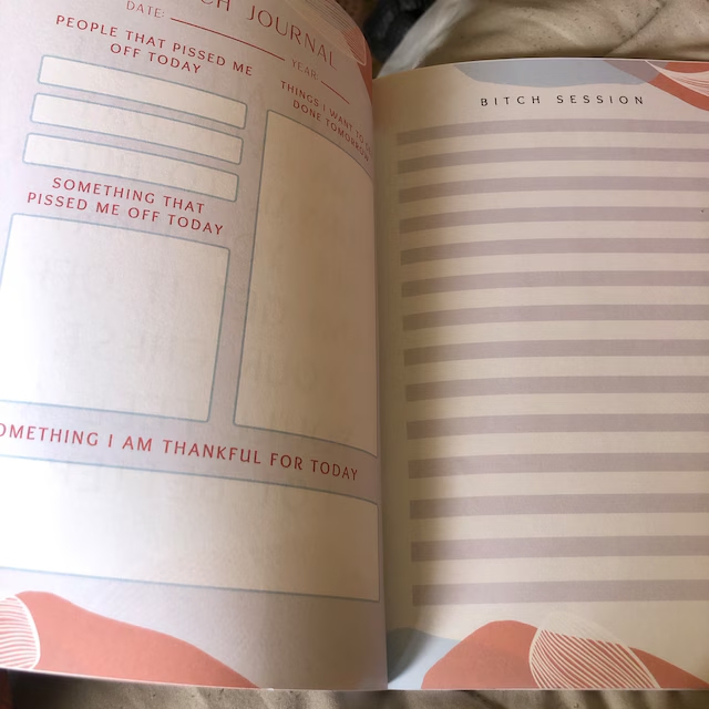 🔥ON SALE🔥My Bitch Book - A Therapeutic Stress Relief Journal
