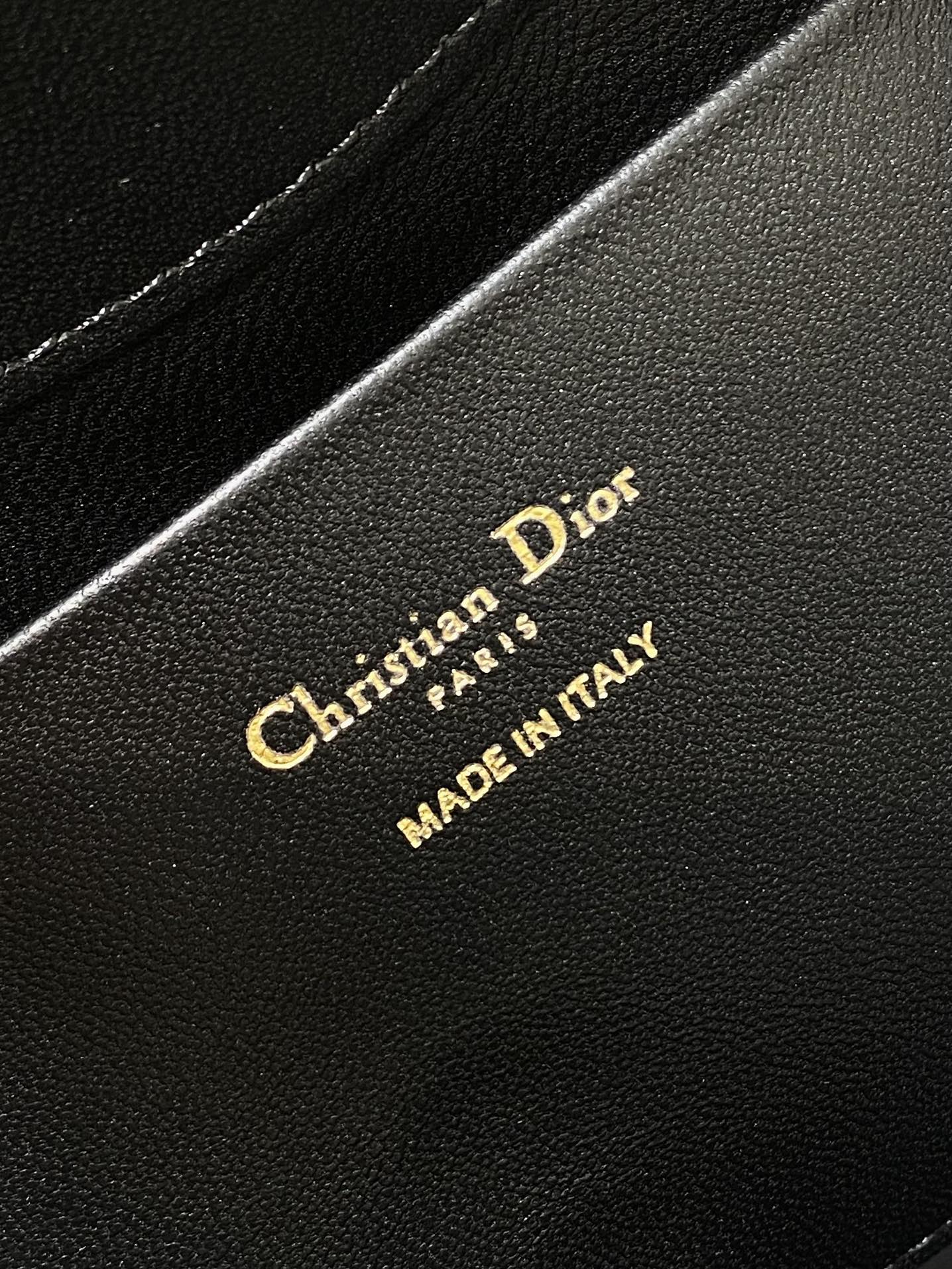 Dior Toujours Vertical Series Medium