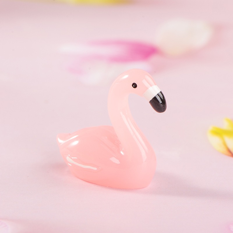 🦩Pet Flamingo In A Box