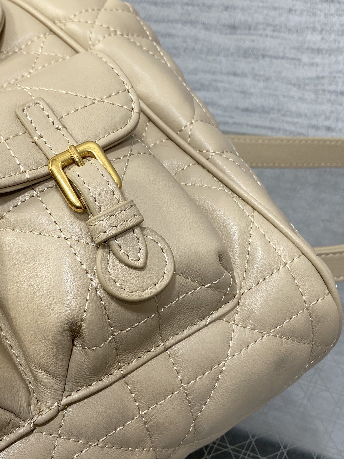 Dior Caro Fall/Winter Backpack