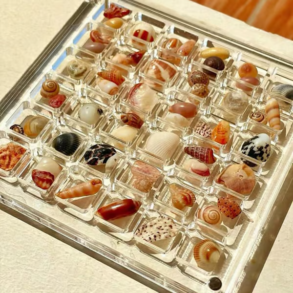 Acrylic Magnetic Shell Display Box