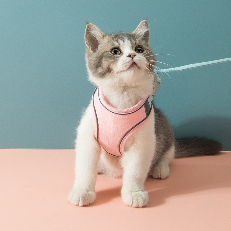 🔥Mother's Day Sale 50%-Fairmrsy-Luminous Cat Vest Harness and Leash Set🔥BUY 2 GET 10% OFF & FREE SHIPPING