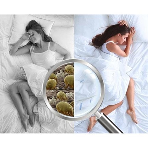 🔥Dust Mite Killing Pad