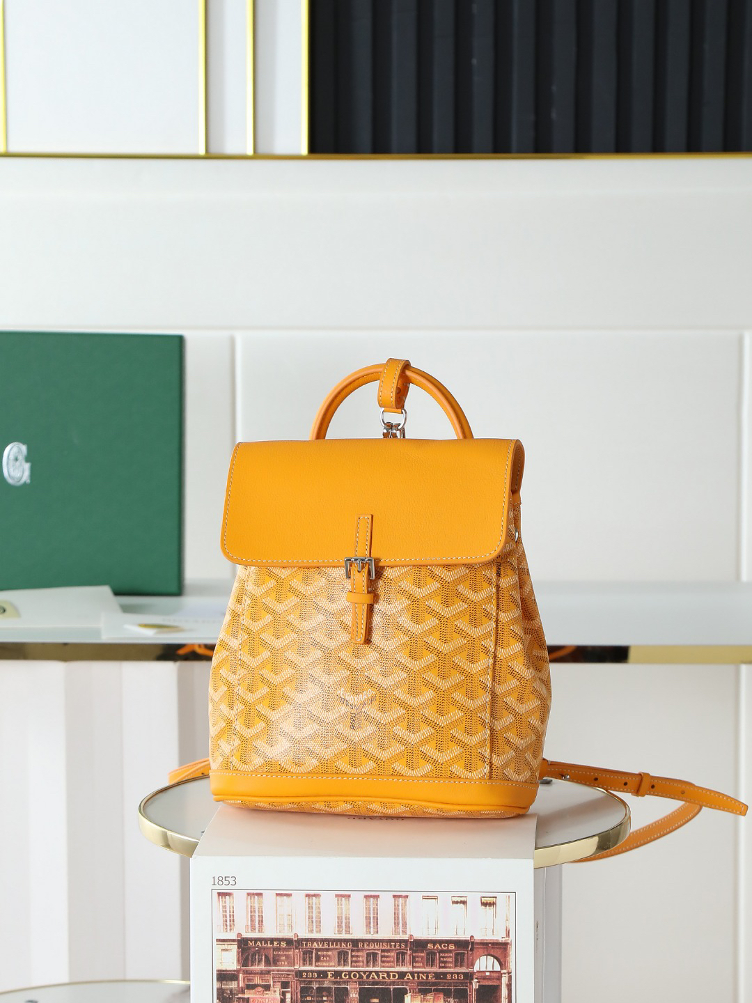 Goyard Aln Mini Backpack 020194