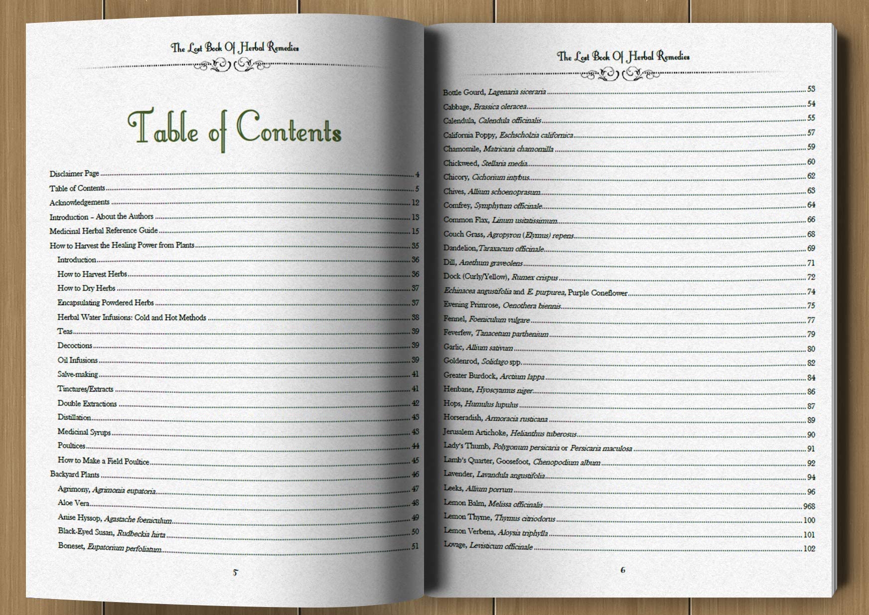 👍2024 New Revision- 40% OFF💥The Lost Book of Herbal Remedies