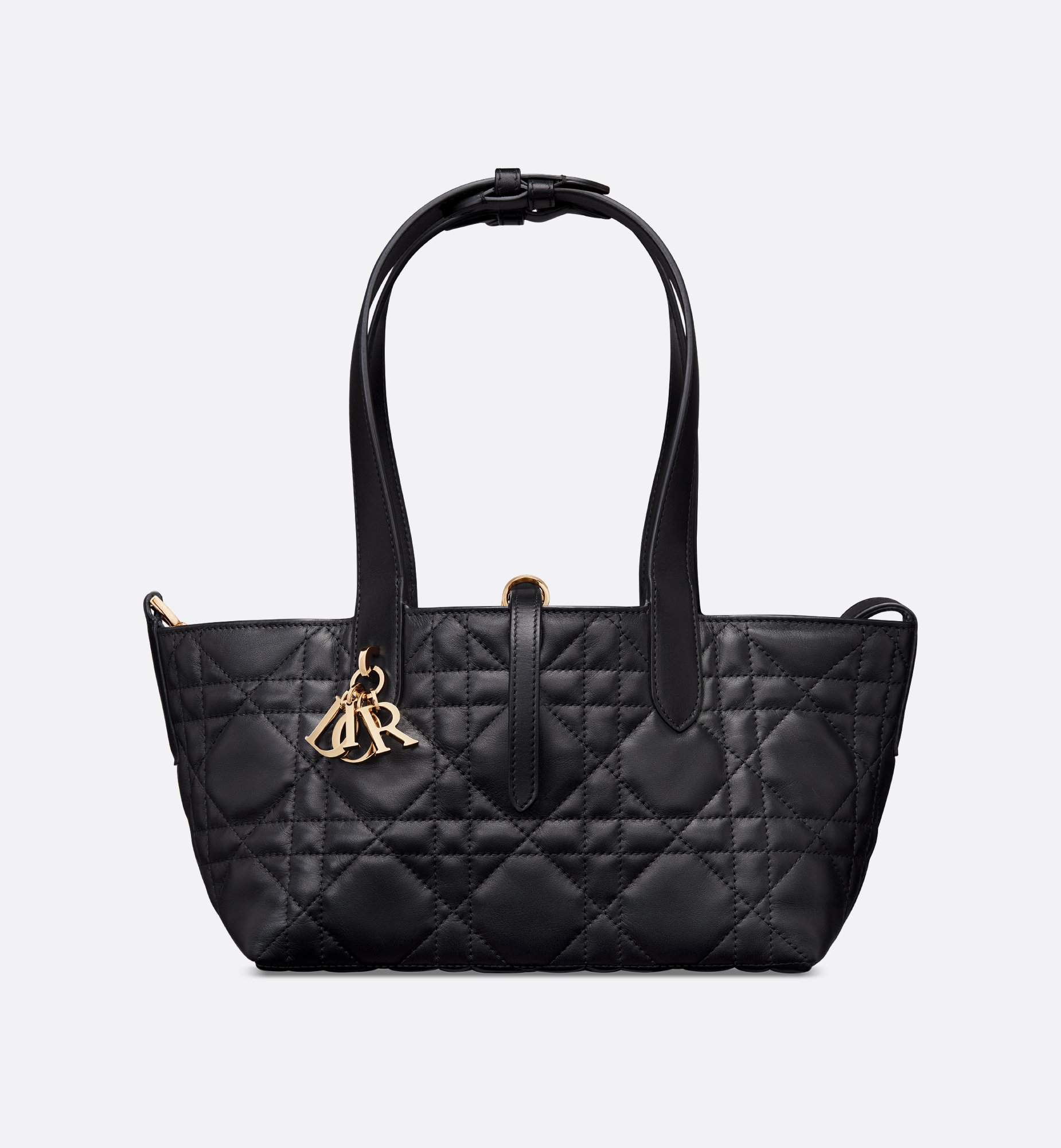 Dior Small Dior Toujours Bag M2822OSNW_M900