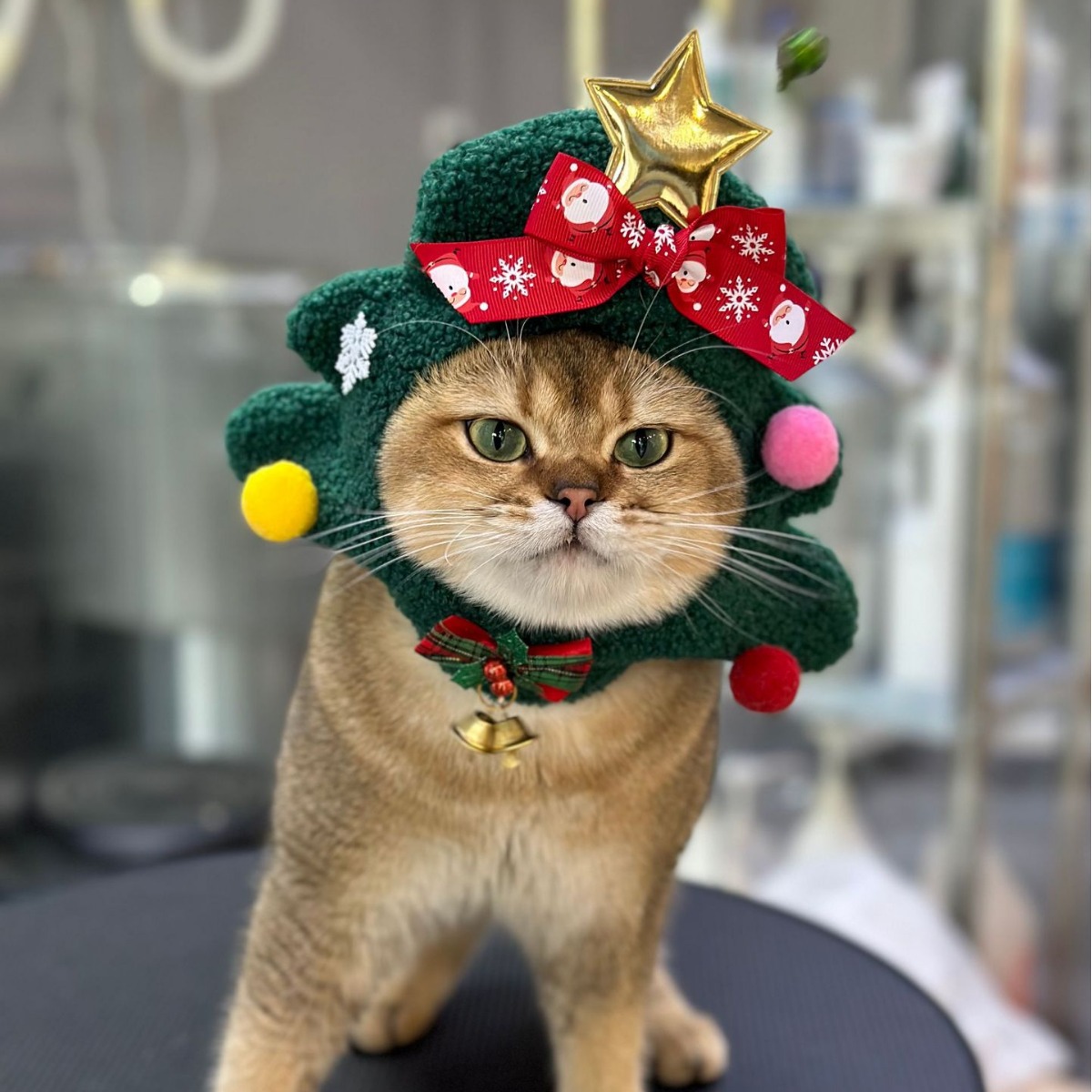 Handmade fleece Christmas Tree Costume Hat for Cat Dog