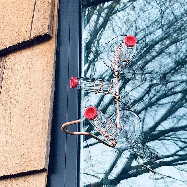 🔥HOT SALE 49% OFF🔥Suction cup bird feeder🐦