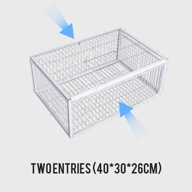 AutoTrap Bird Cage - Entry Only, No Exit