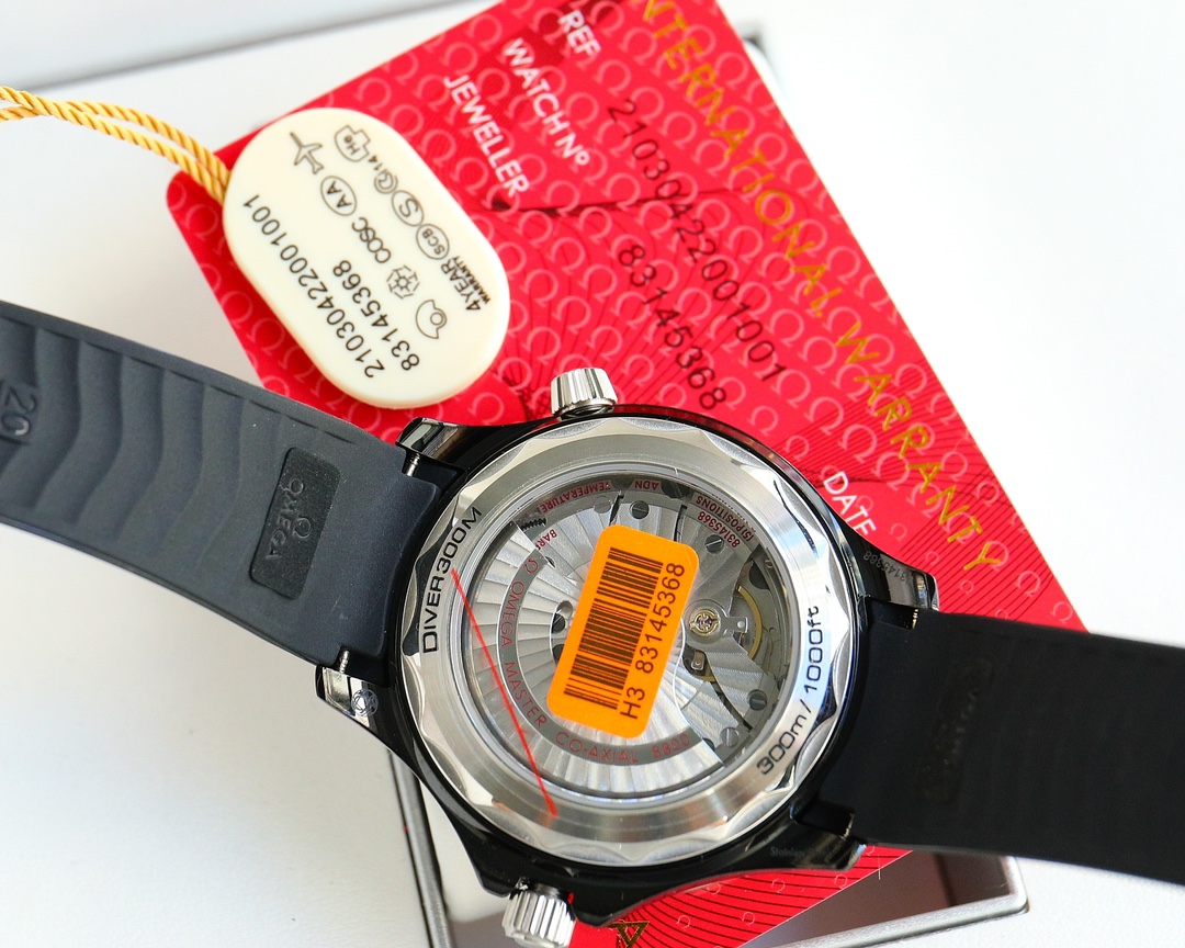 Omega Seamaster 300m Diving Watch