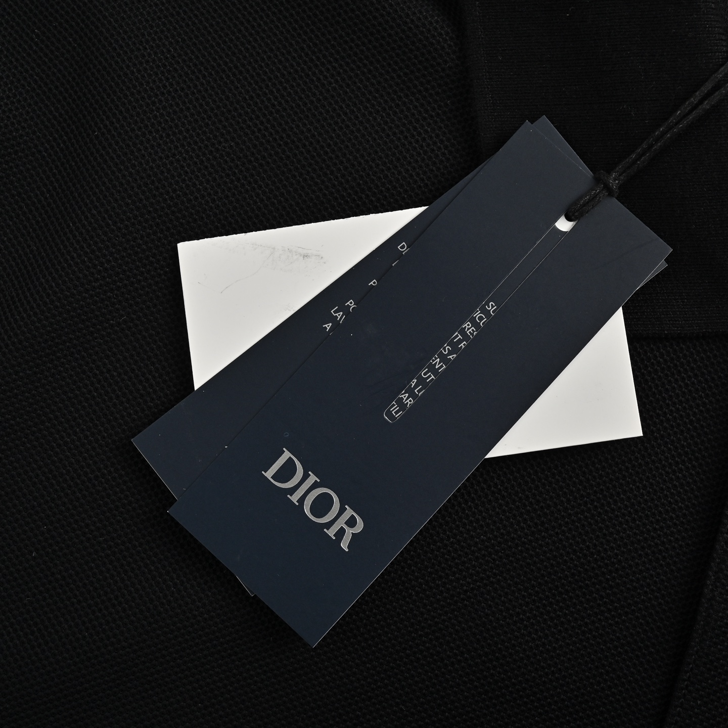 Dior 25ss KAWS Year of the Snake Embroidered Small Logo Polo Short Sleeve