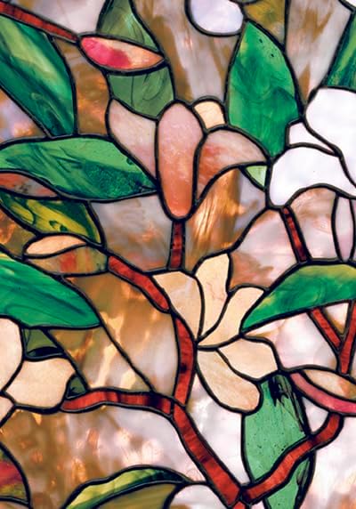 🔥Last Day 50% OFF🔥Magnolia Window Film 24