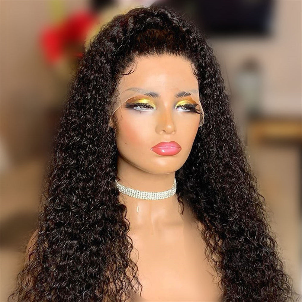 Luna wigs 1 x4 Lace Front 20-26 Inch Long Curly Wigs
