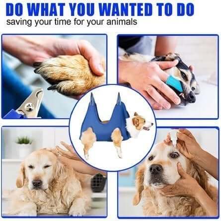 🔥Mother's Day Sale 50%🐱Hot Sale🔥Pet Grooming Hammock🔥BUY 2 GET 10% OFF & FREE SHIPPING