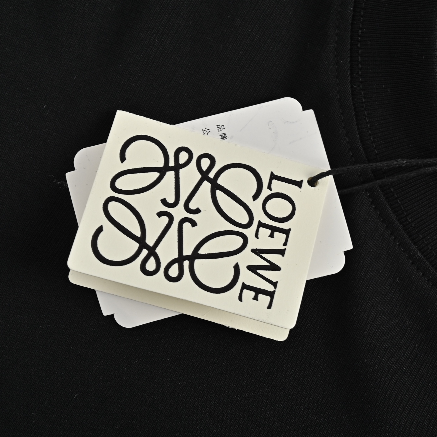 Loewe 25ss logo embroidered short sleeve