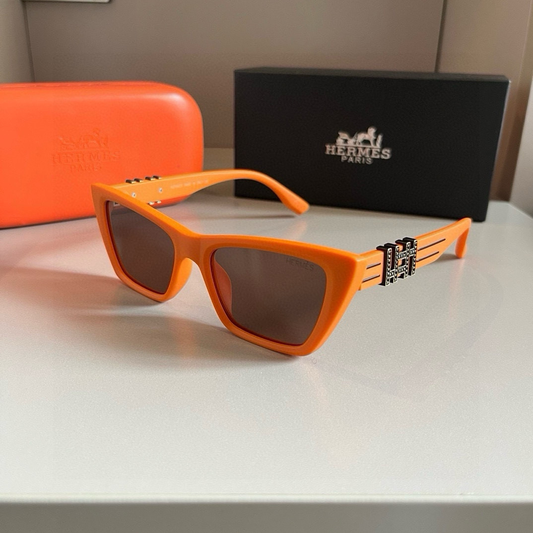 Hermes polarized sunglasses