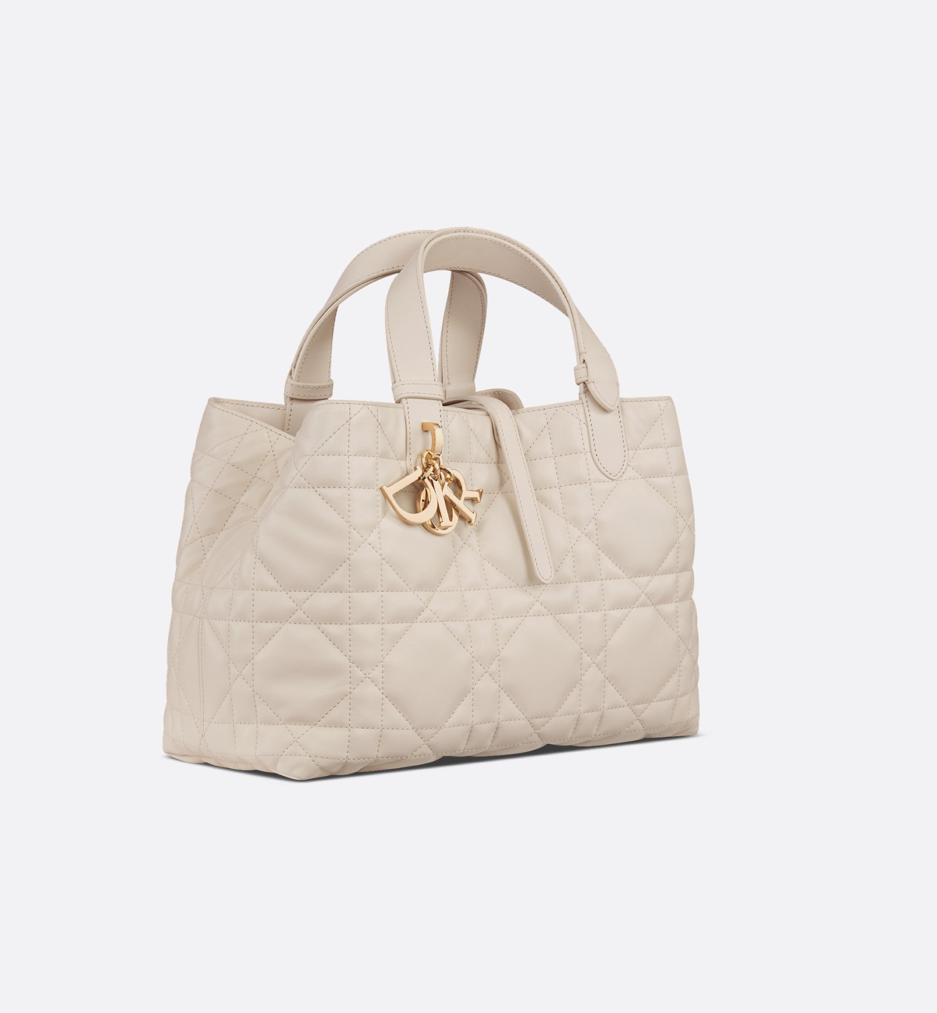 Dior Medium Dior Toujours Bag M2821OSNW_M62U