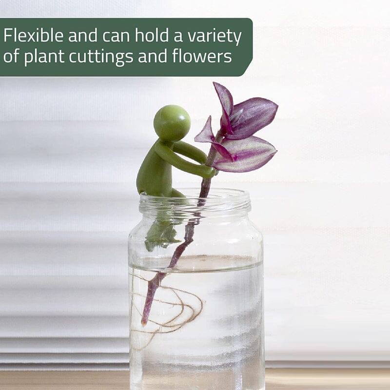 🔥Hot Sale Now - 50% OFF🔥💥3-Pack/Set Plant Cuttings Support & Propagation Buddy