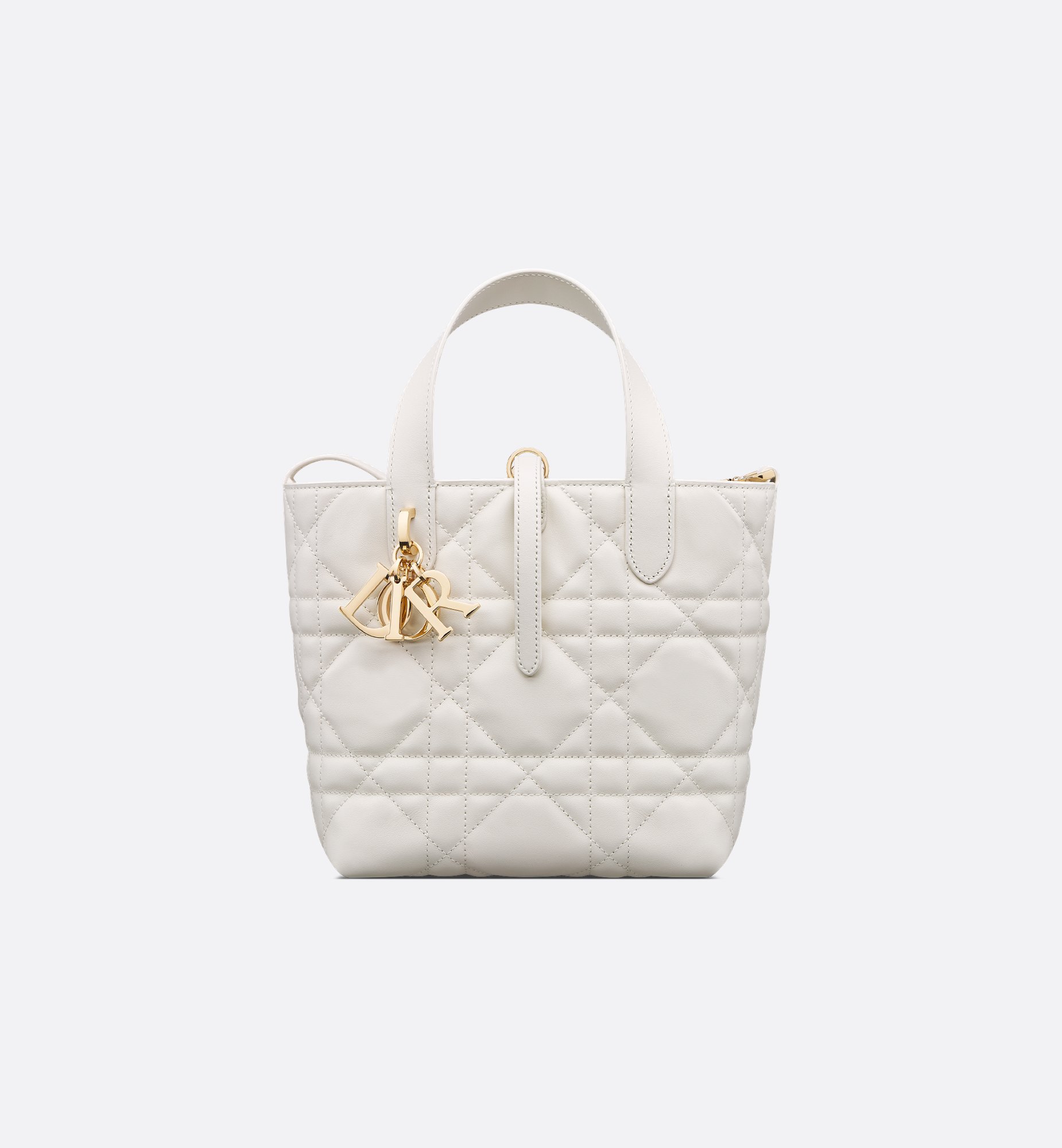 Dior Small Dior Toujours Vertical Bag M2835OSNW_M030